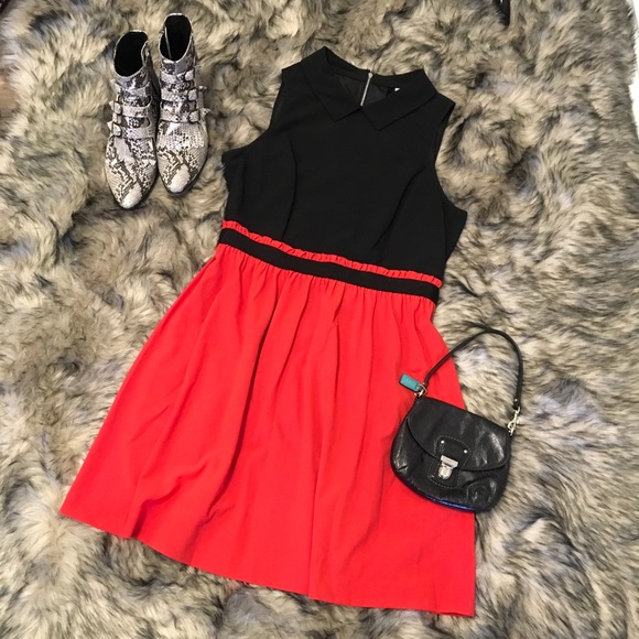 Collared Fitted Kensie Dress - Picture 4 of 5